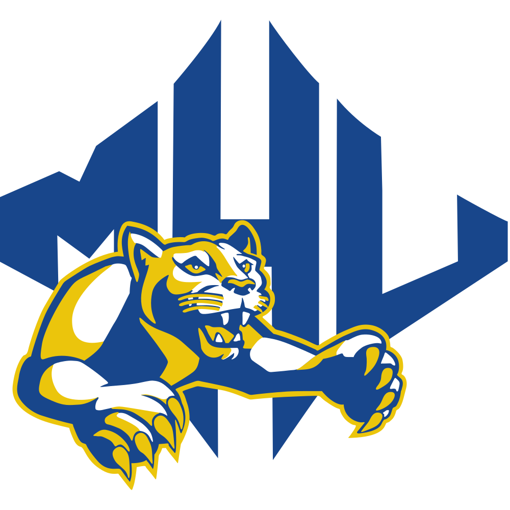 Online College Basketball